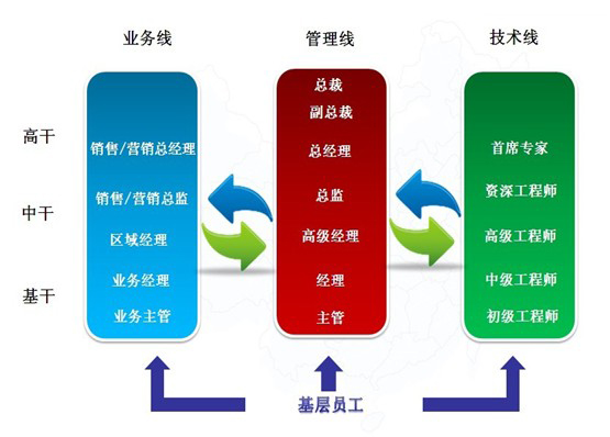 华为员工晋升通道图图片